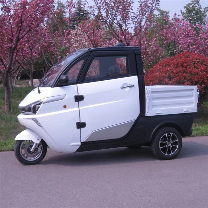 All Weather Closed Tricycle Motorcycle Electric Tricycles Passenger For Adult With Folding Cargo Box All Weather Closed Tricycle Motorcycle Electric Tricycles Passenger For Adult With Folding Cargo Box