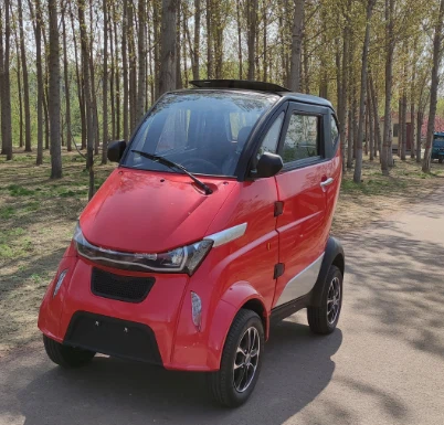 Mini Customized Color 3 Wheels And 4 Wheels EV For Sale