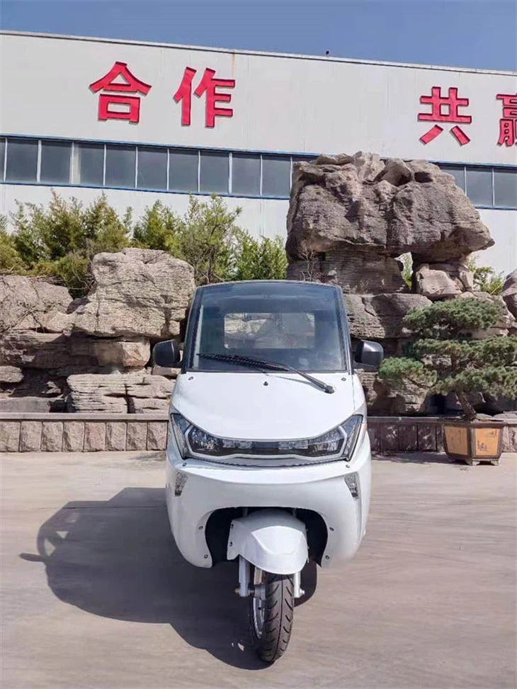 Runhorse Electric Scooters 3 Wheel Adult Runhorse Electric Scooters 3 Wheel Adult